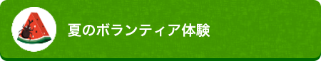 夏のボランティア体験