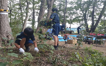 見沼区の様子